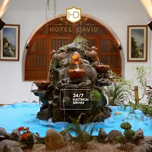 David מלון
